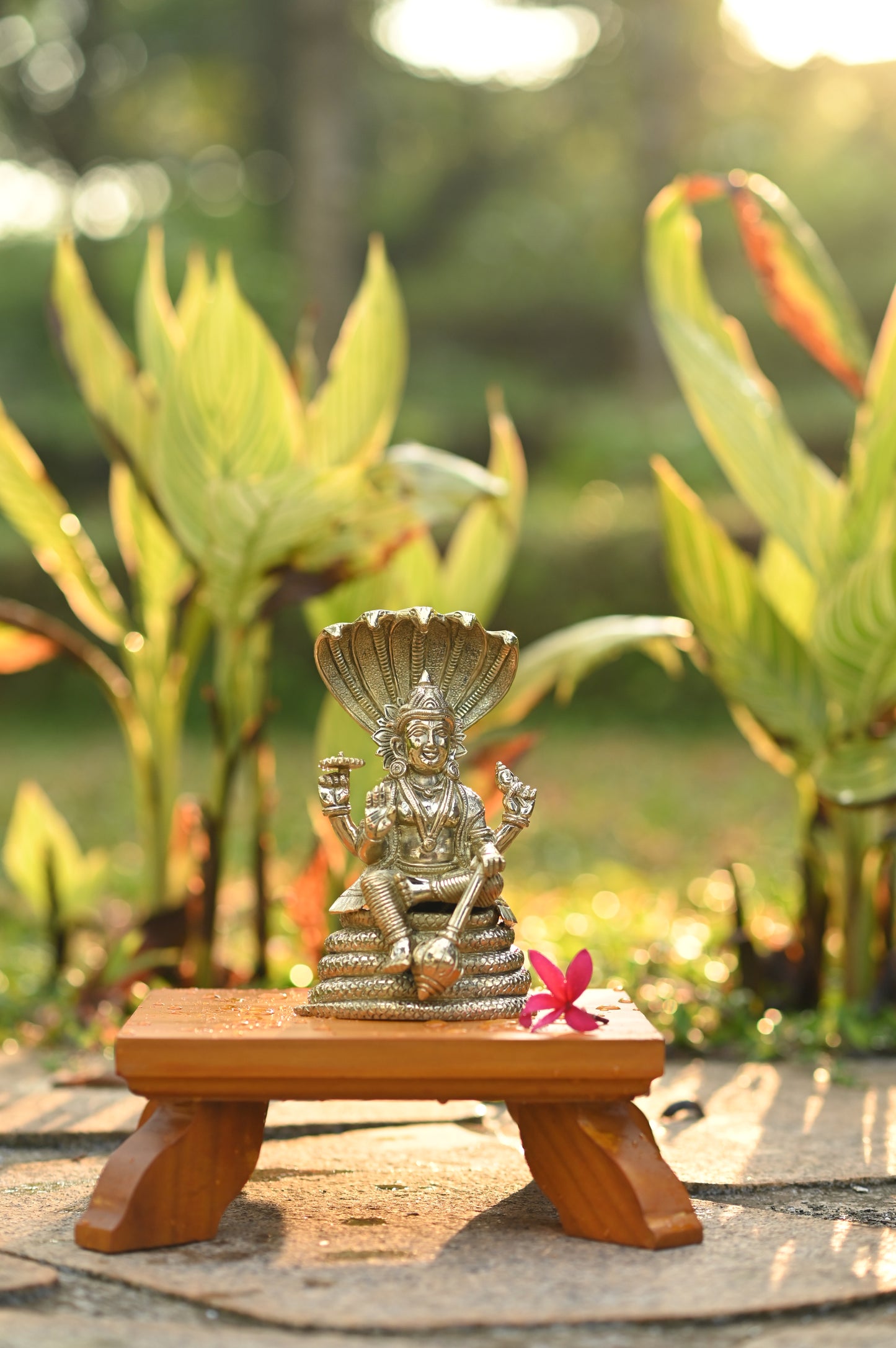 Lord Vishnu seated on shesnaag