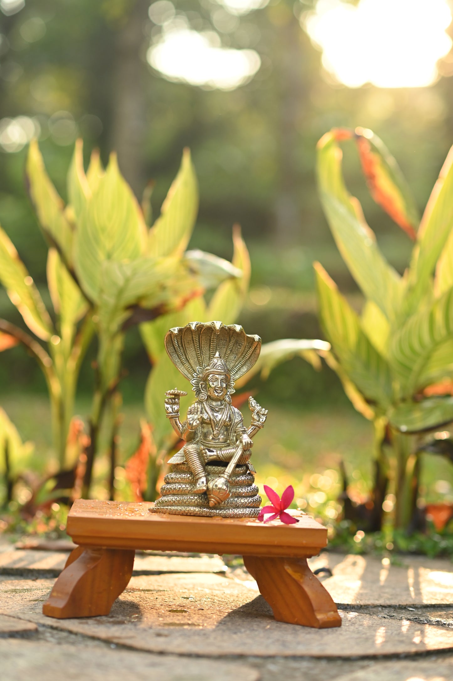 Lord Vishnu seated on shesnaag