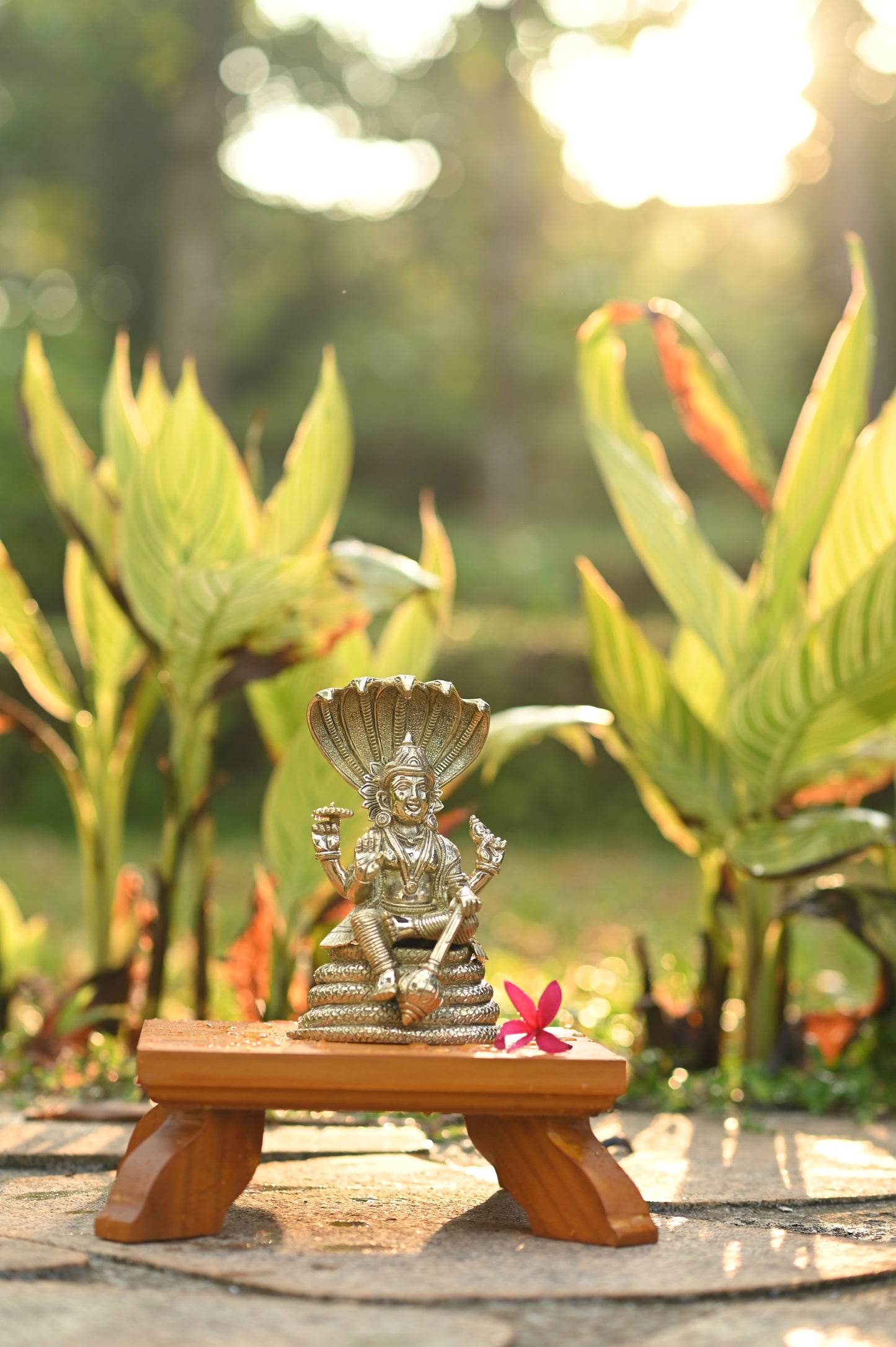 Lord Vishnu seated on shesnaag